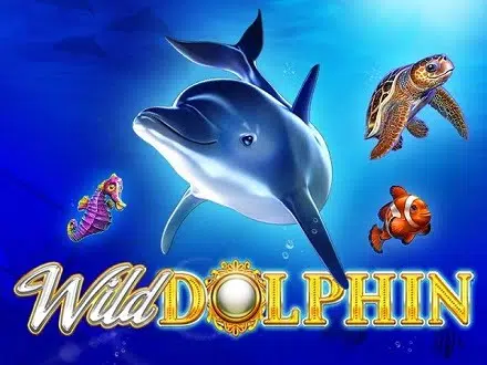 Wild-Dolphin